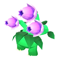 Blossom