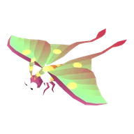 Moth Luna