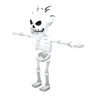 Skeleton