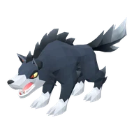 Wolf